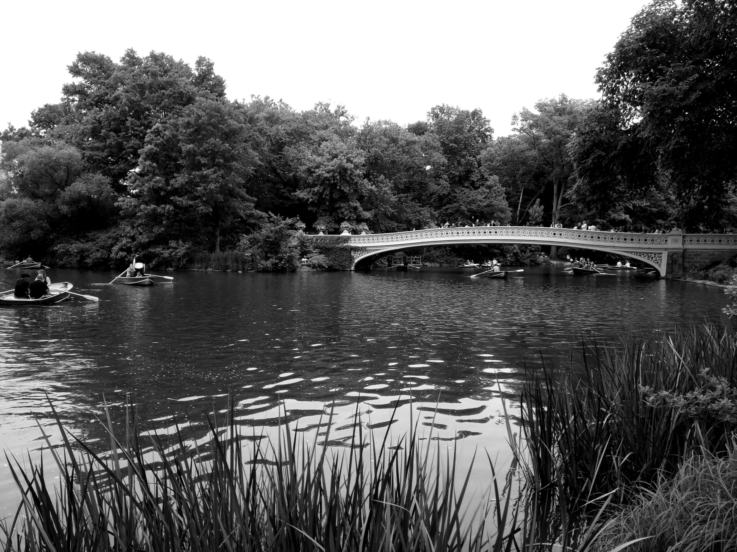 10 Unique NYC Wedding Venues You Didn’t Know Existed